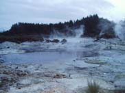 Rotorua - Hells Gate (Mud Pools)